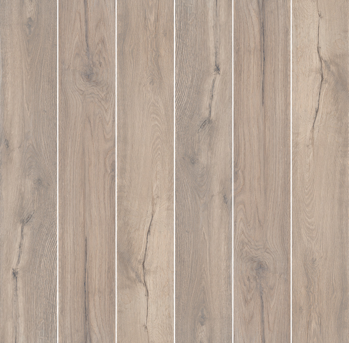 Roots: Taupe