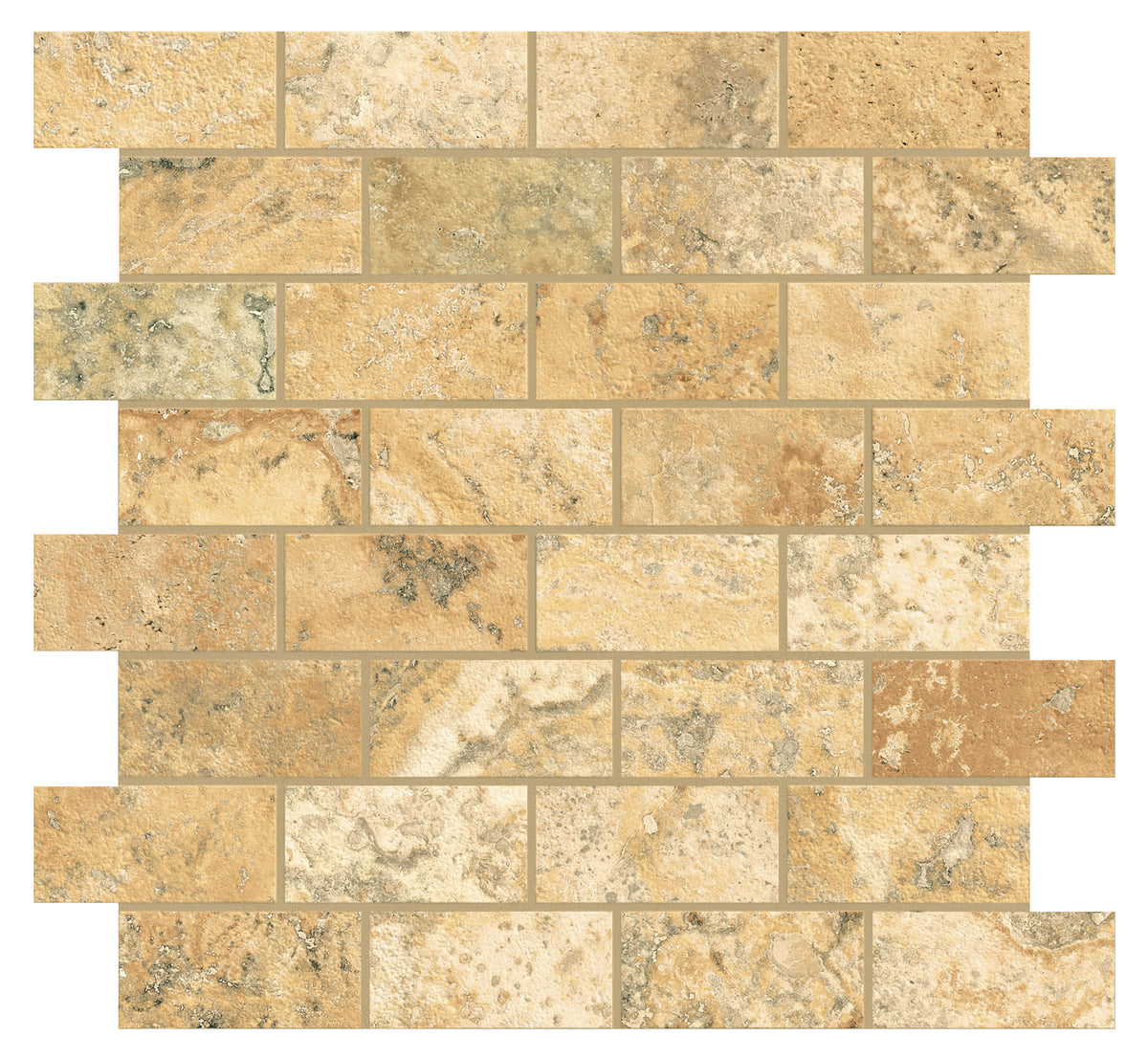 Sierra Madre: Cross Cut Scabas