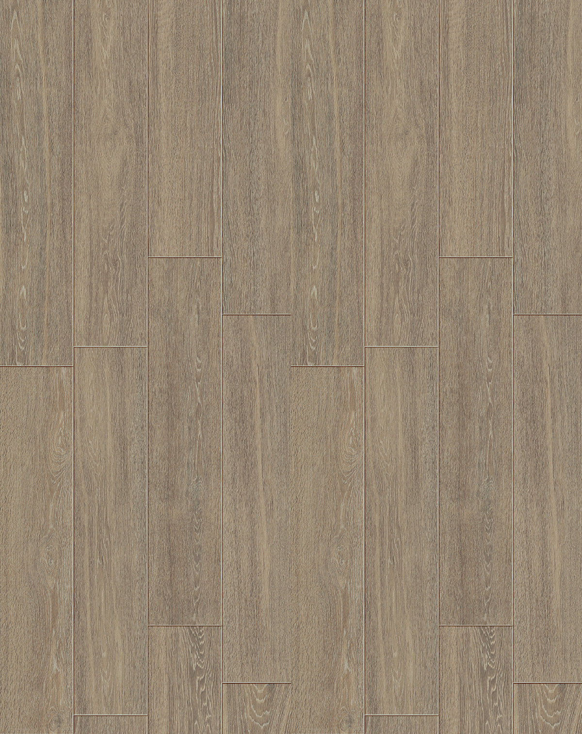Spirit: Old Maple