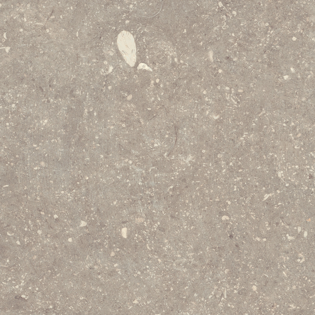 Strata Nordic: Shore Taupe