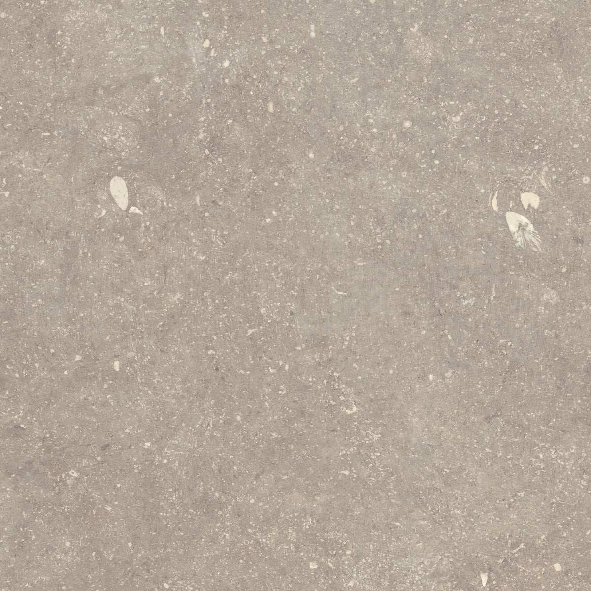 Strata Nordic: Shore Taupe