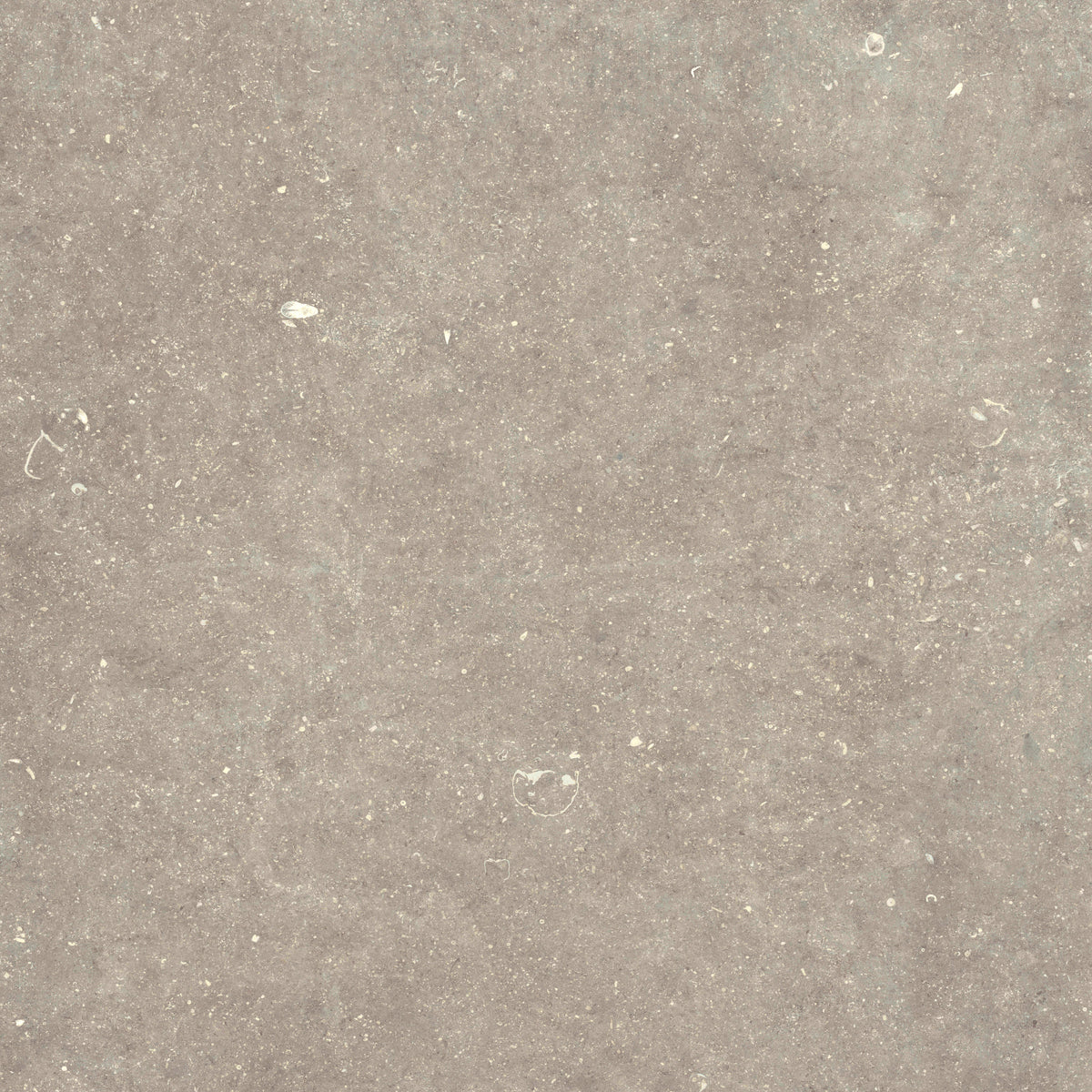 Strata Nordic: Shore Taupe