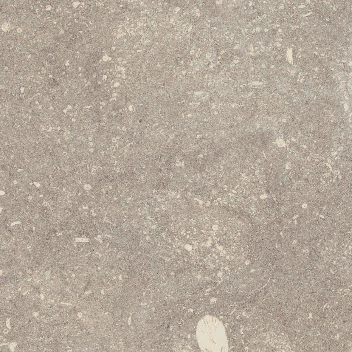 Strata Nordic: Shore Taupe
