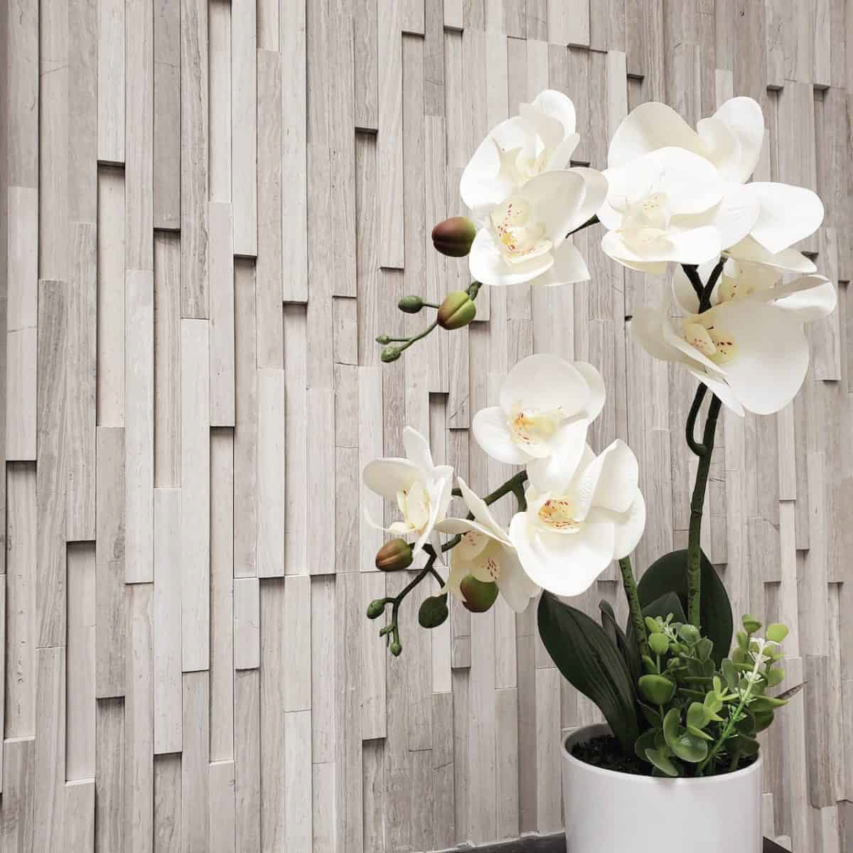 Thinstone Panel: White Birch