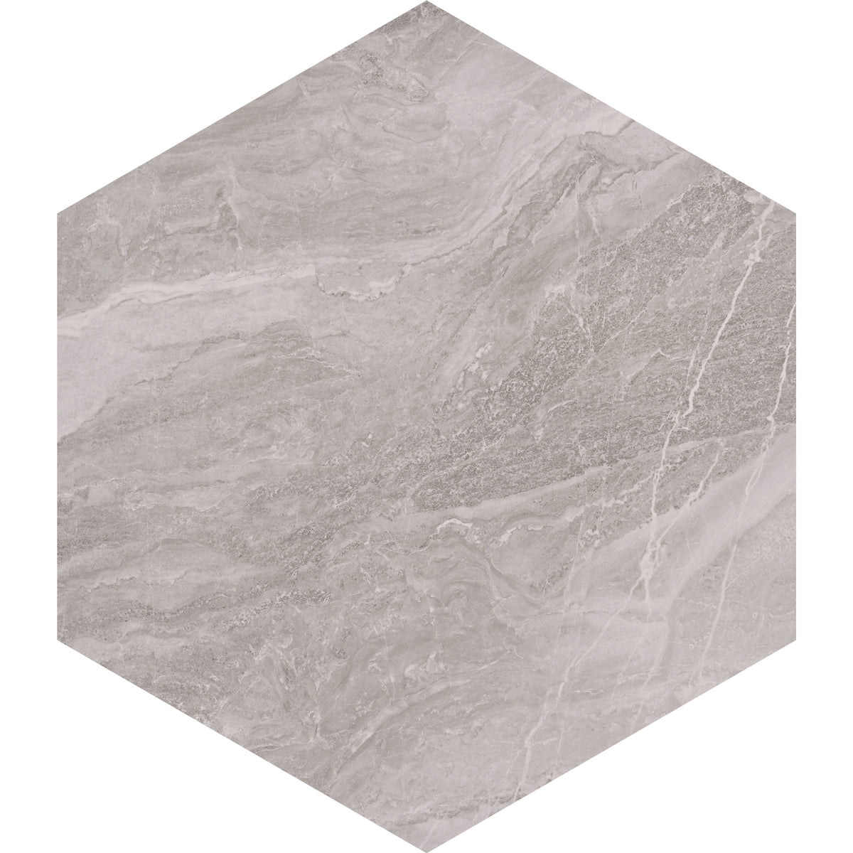 Torrente: Gray