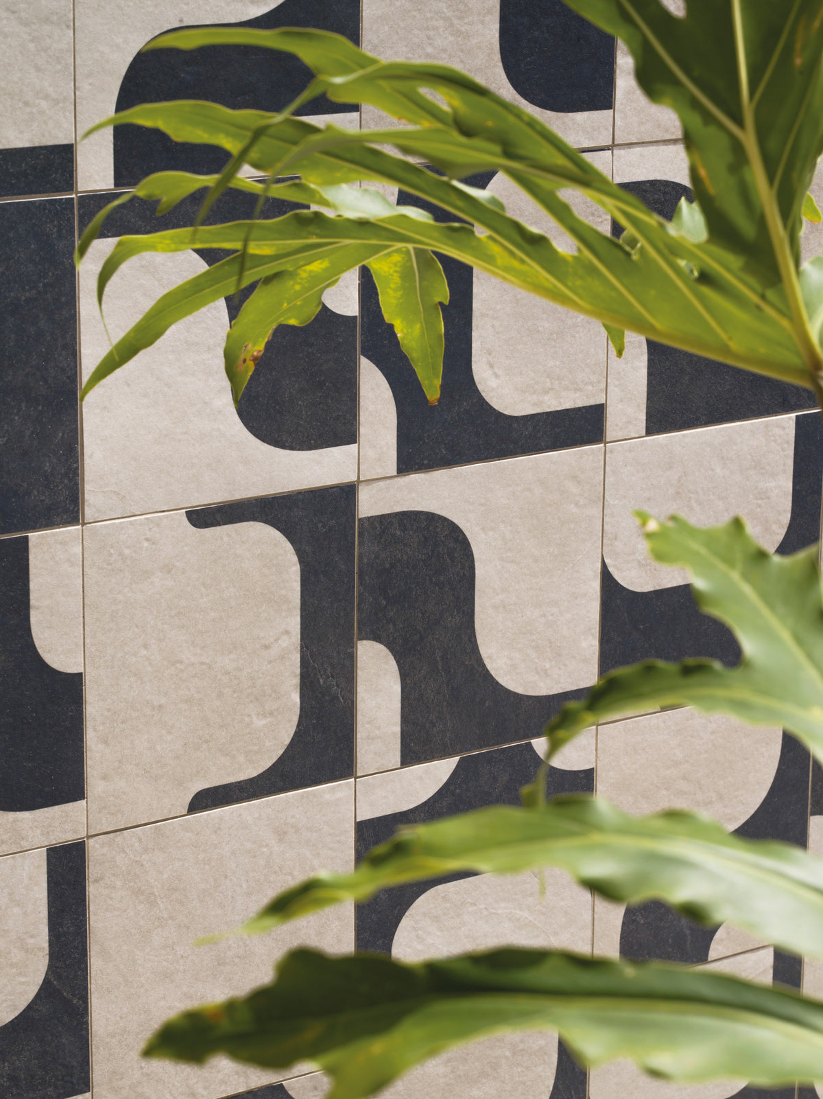 Triad: Neotropical Black Mix
